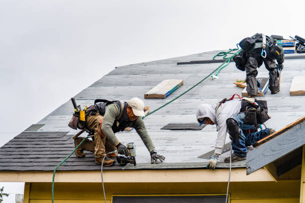 Professional Gutter Installation technician working in Union Springs, AL